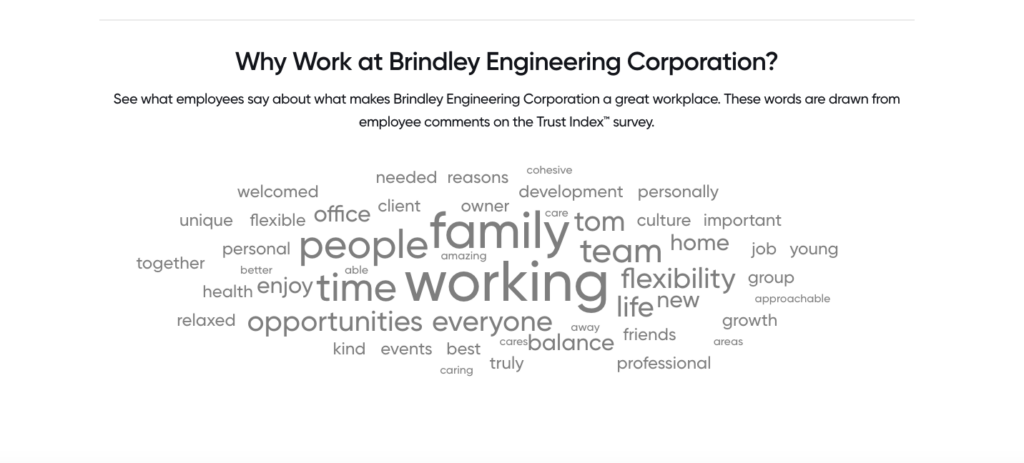 Brindley Great Place To Work Word Cloud